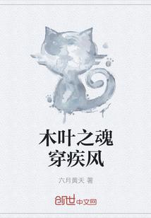 木叶之魂是什么