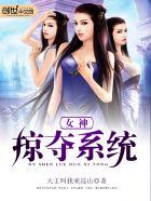 战婿为王免费阅读