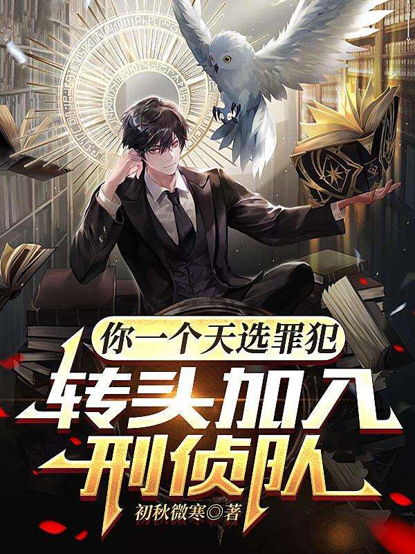 转头加入刑侦队评论怎么样