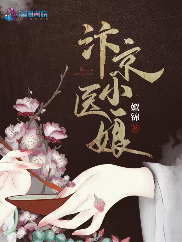 汴京小医娘 姒锦讲的什么