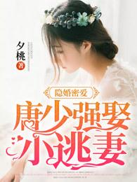 隐婚蜜爱沈少狂宠妻