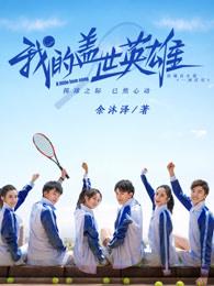 我的盖世英雄预告