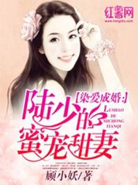 陆少蜜宠甜妻火辣辣免费阅读