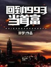 回到1993当巨星