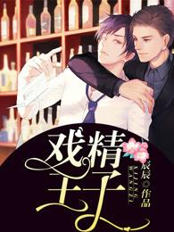 戏精王子作者辰辰