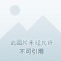 美女攻略系统最新章节