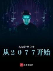 2077那个开局