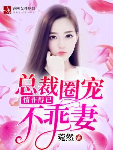 情非得已总裁圈宠不乖妻