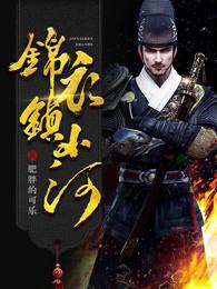 锦衣镇山河评论