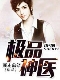 极品神医叶开阅读