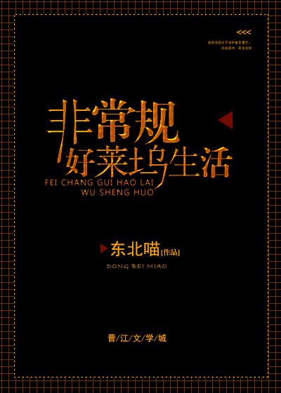 非常规好莱坞txt