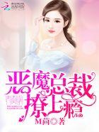 恶魔总裁撩妻上瘾