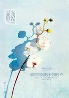 爱你是最好的时光讲的什么