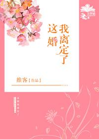 这婚我离定了作者维客