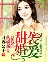 甜婚袭爱总裁的落魄新妻全文免费