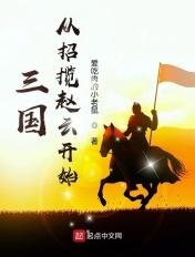 三国赵云传2纵横天下攻略