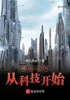 模拟公司是什么