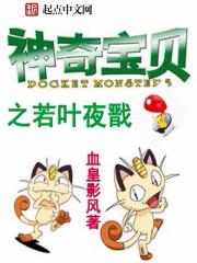 神奇宝贝之最强夜神笔趣阁