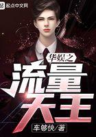 华娱之流量天王txt