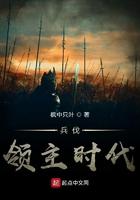 领主之兵伐天下境界