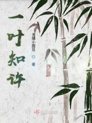 一叶知是什么意思