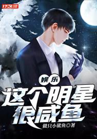 这个明星有些咸鱼书评