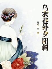 乌衣巷夕阳斜演出