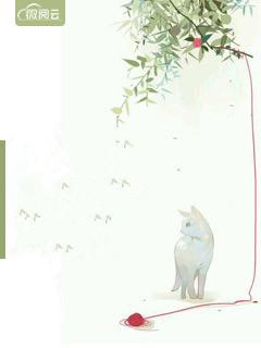 总裁老公爱不够漫画全文免费阅读