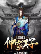 三国之仲谋天下88