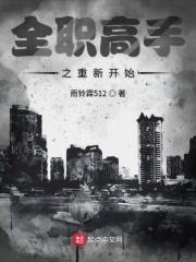 全职高手之重新开始