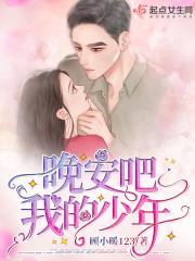 晚安吧我的少年