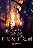 人在木叶：开局公开处刑